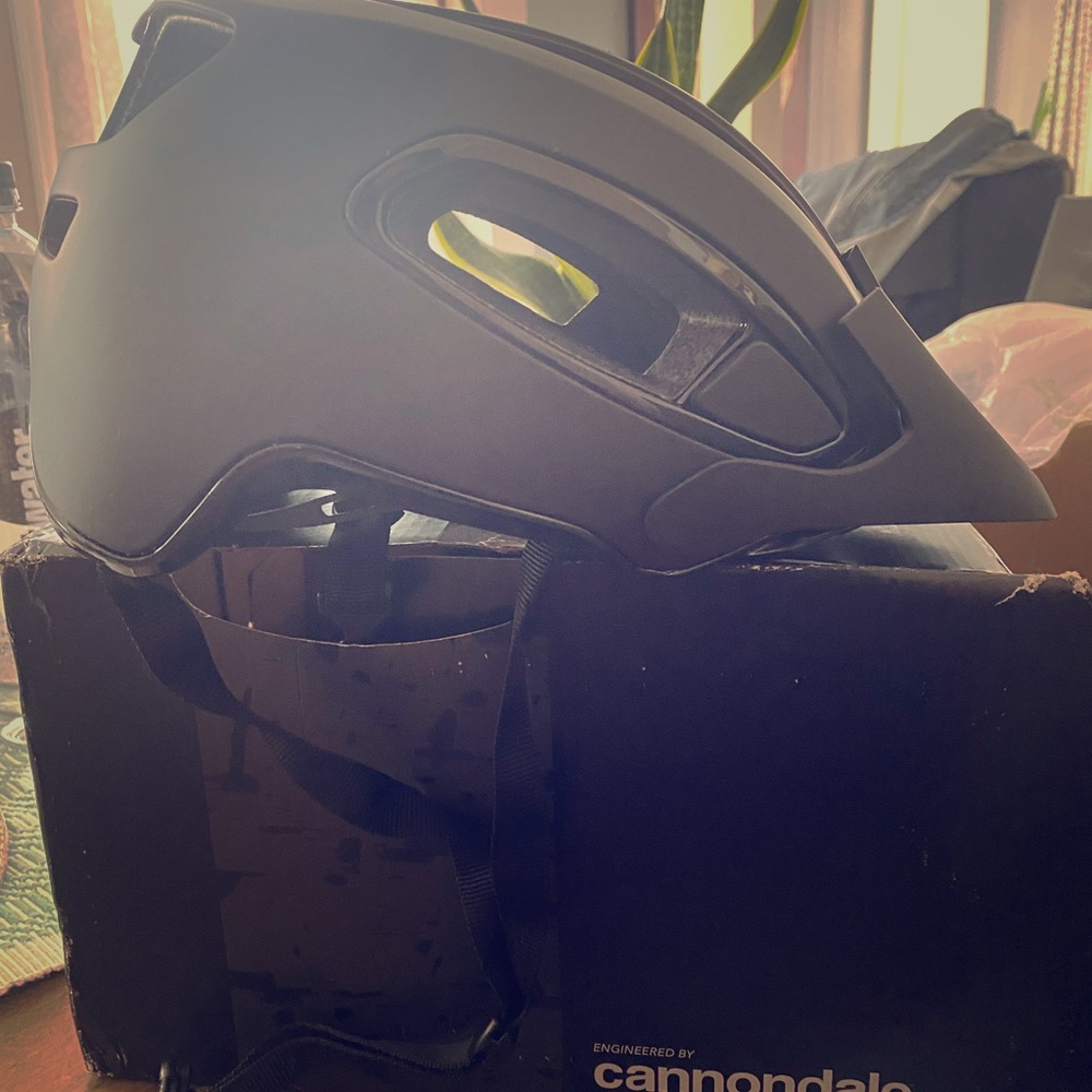 Biker Helmet